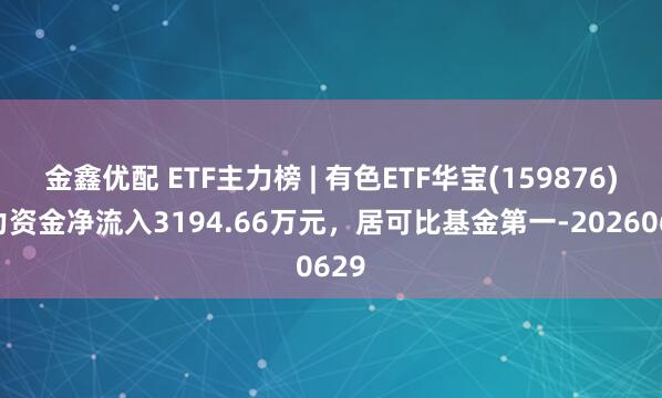 金鑫优配 ETF主力榜 | 有色ETF华宝(159876)主力资金净流入3194.66万元，居可比基金第一-20260629